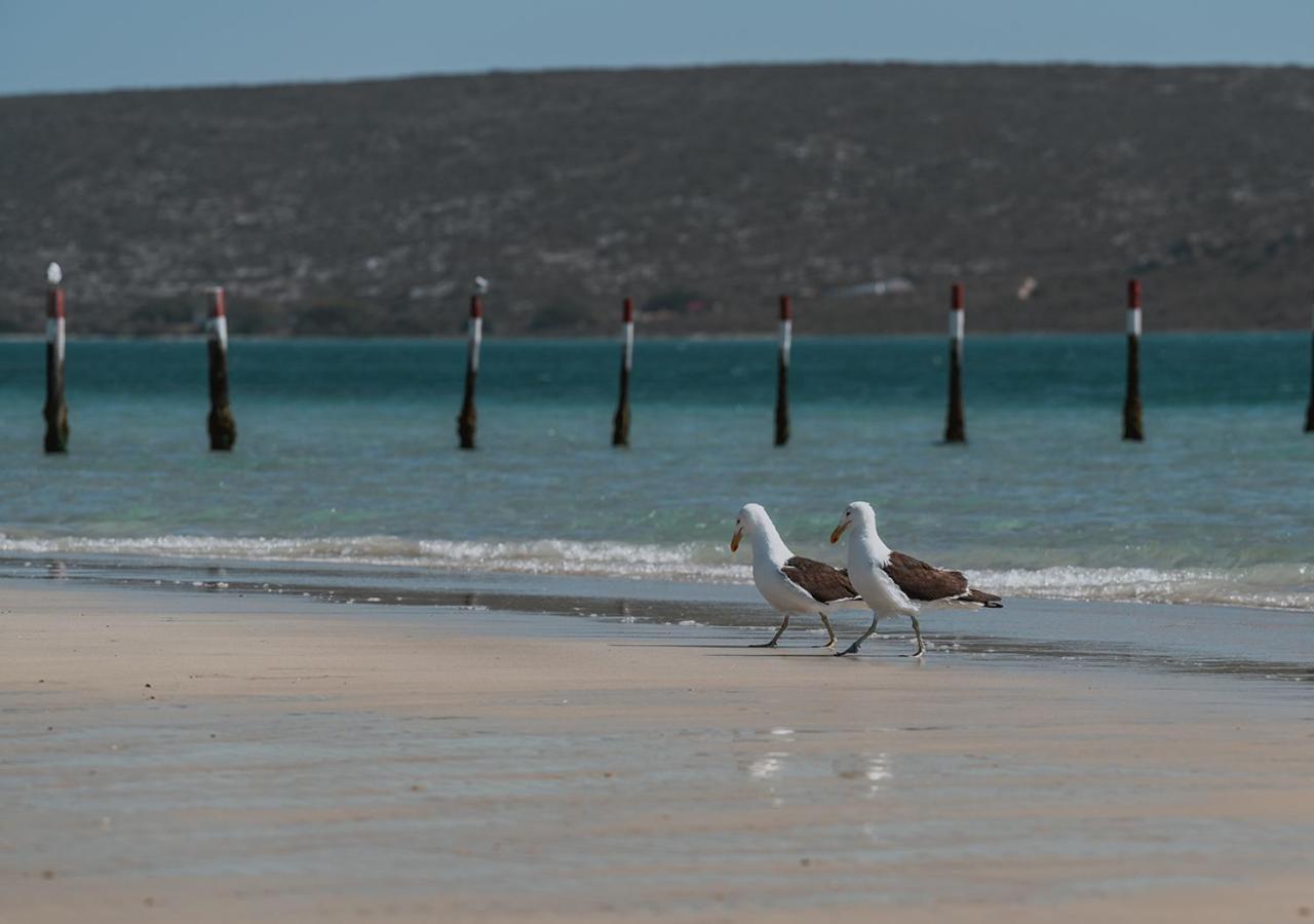 The Shark Bay Boutique Hotel & Spa Langebaan Exterior foto